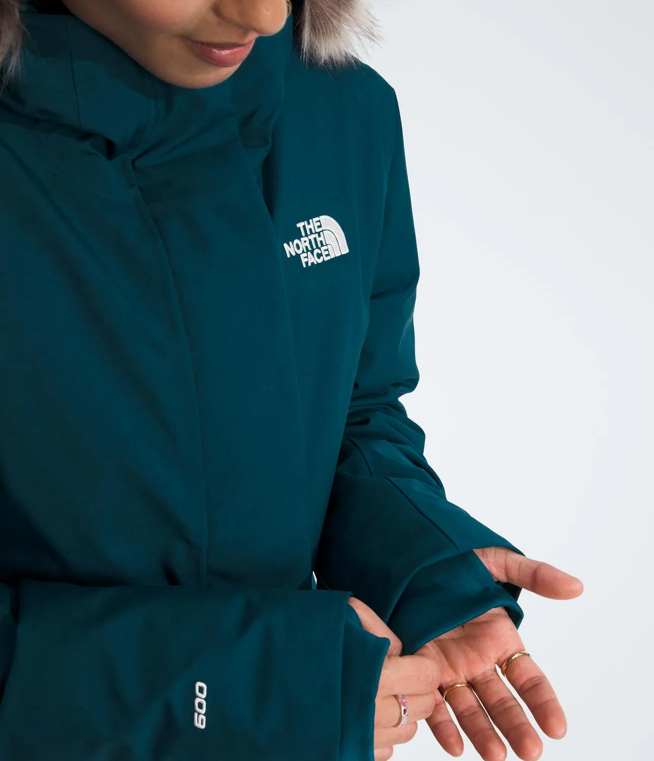 Arctic Parka (Women's) - NF0A84J2