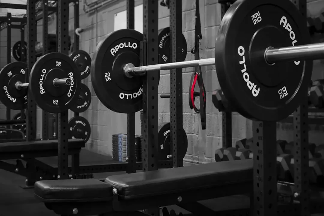 Black Bumper Plates
