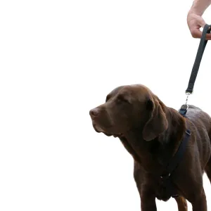 Hemp Dog Harness Basic BLACK
