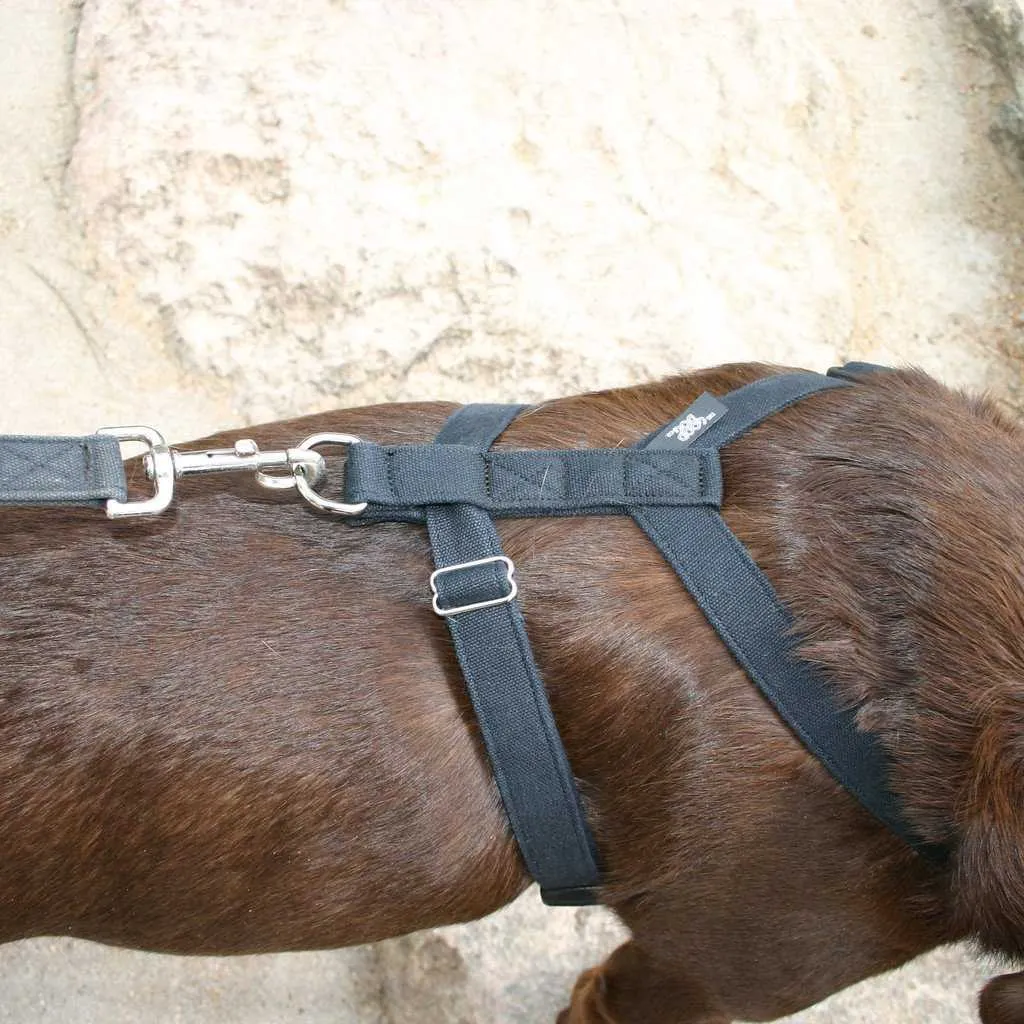 Hemp Dog Harness Basic BLACK