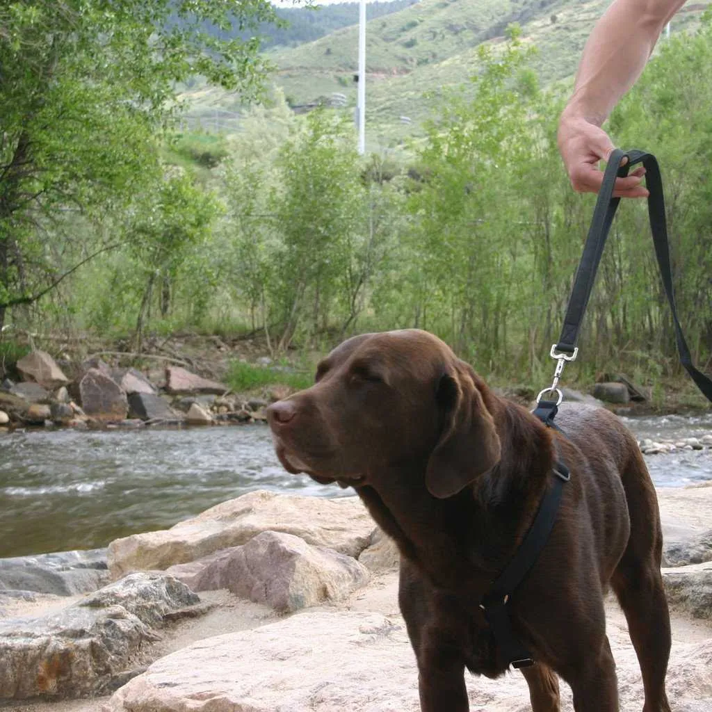 Hemp Dog Harness Basic BLACK